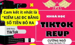 Khóa học Reup Tiktok thực dụng