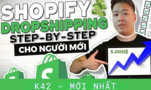 Khóa học Shopify Dropshipping Linh Thạch Ecom K42