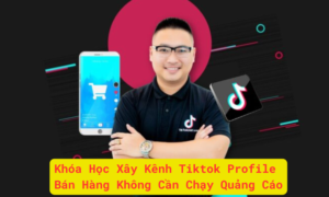 Khóa Học Xây Kênh Tiktok Profile: Xây Dựng Kênh Tiktok Để Bán Hàng Mà Không Cần Chạy Quảng Cáo - Tạ Công Bằng